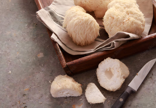 What is Lions Mane?